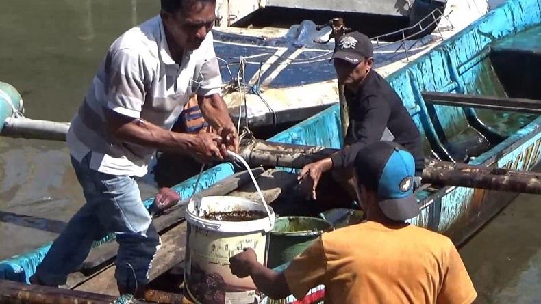 Perairan Cilacap Diklaim Telah Bersih dari Tumpahan Minyak