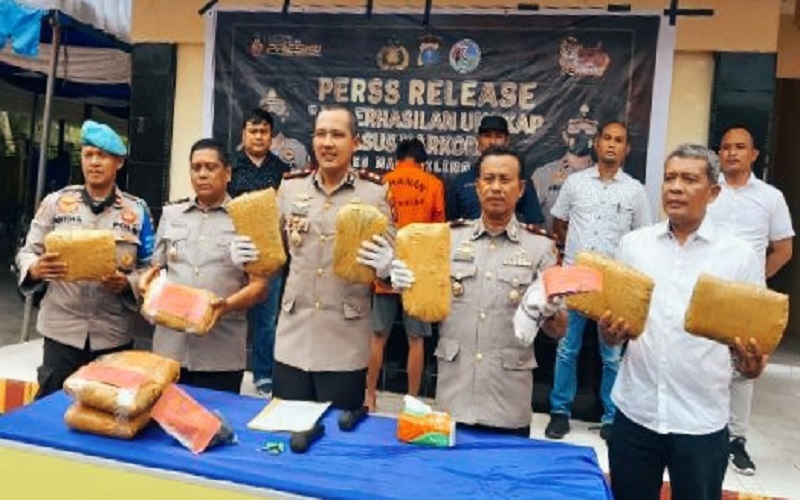 Bandit Narkoba di Madina Ditangkap dengan 7,8 Kilogram Ganja