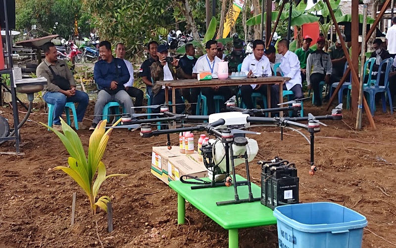 Melek Teknologi, Petani di HSU Manfaatkan Drone Basmi Gulma