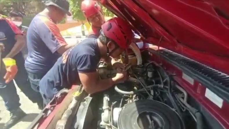 Buka Kap Mesin Mobil, Warga Parepare Kaget Ada Ular 5 Meter Melilit