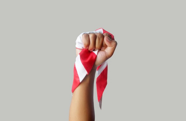 Jelaskan Mekanisme Pembagian Kekuasaan yang Dilaksanakan di Indonesia, Ini Jawabannya