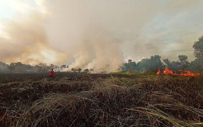 Muba Antisipasi Karhutla dengan Siagakan Posko di 10 Kecamatan 