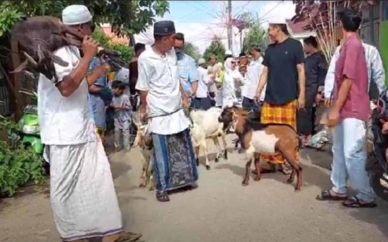 Unik, Hewan Kurban di Kota Ini Diarak Keliling Kampung Sambil Dilantunkan Salawat