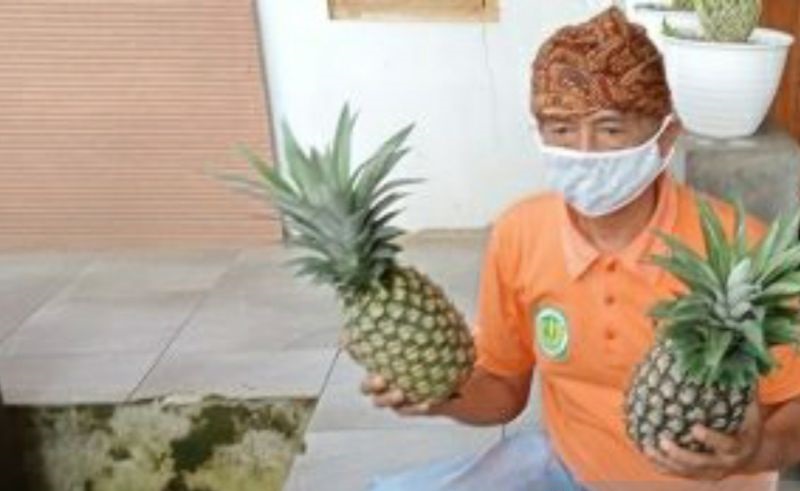 Kisah Pedagang Tas Beralih Jualan Nanas dan Arang saat Idul Adha: Alhamdulillah Banyak yang Beli