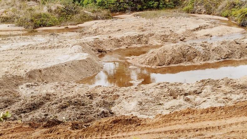 900 Hektare Lahan di Tahura Menumbing Rusak akibat Penambangan dan Pembalakan Liar