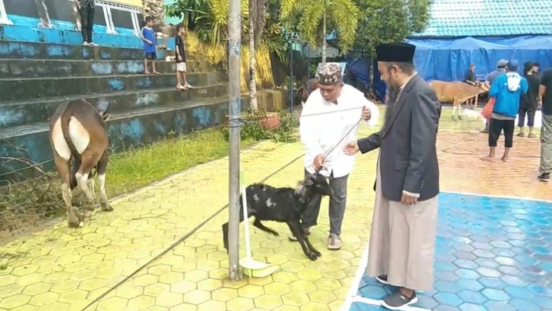 Dapat Hewan Kurban, Panitia Kurban Universitas Muhammadiyah Maluku: Terima Kasih Perindo