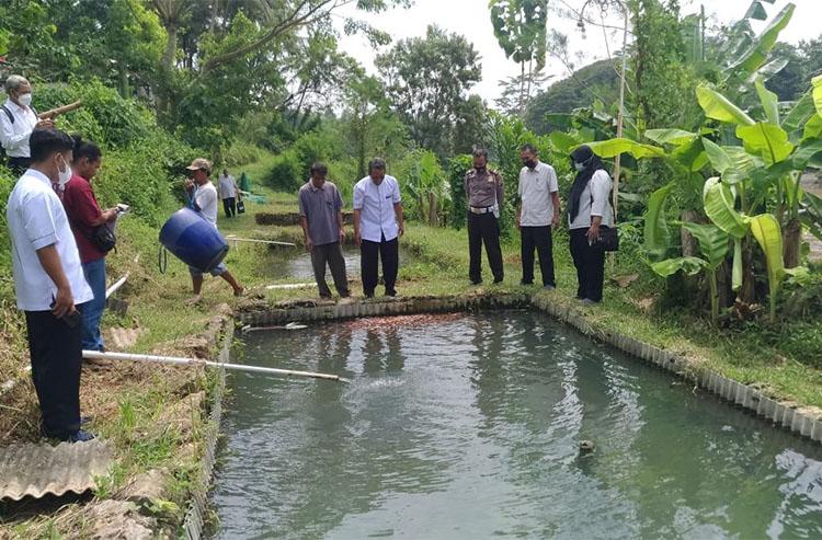 Sleman Andalkan Teknologi Sibudidikucir untuk Budi Daya Ikan
