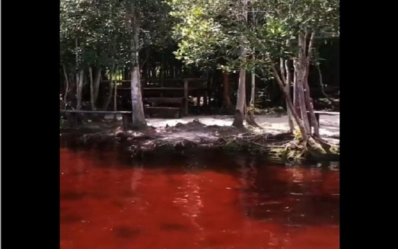 Misteri Sungai Merah di Kalimantan, Konon Bisa Putihkan Kulit usai Mandi