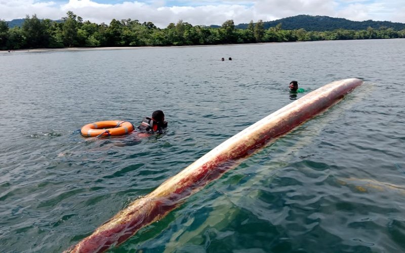 Kapal Mesin Kecelakaan di Teluk Wondama, 7 Penumpang Selamat, 1 Tewas dan 1 Hilang