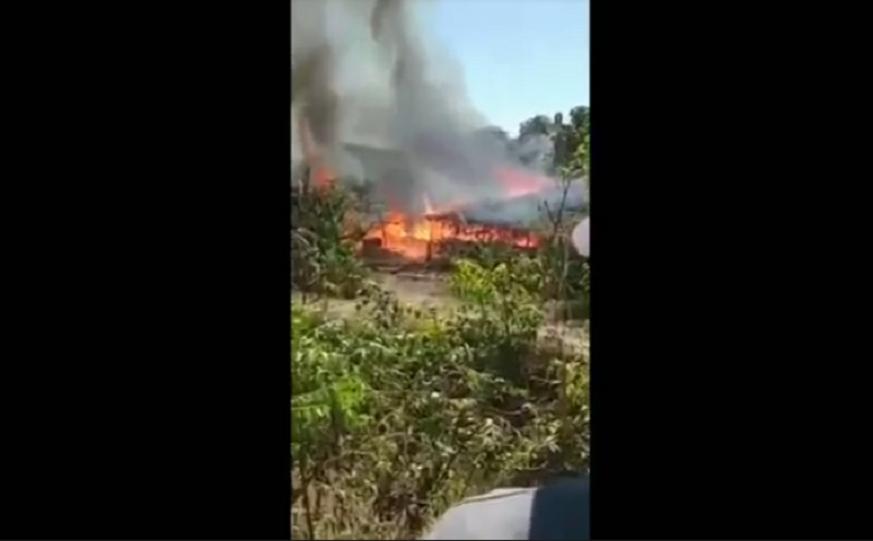 2 Kandang Isi 1.000 Ekor Ayam di Pasuruan Ludes Terbakar, Pemilik: Sengaja Dibakar Orang