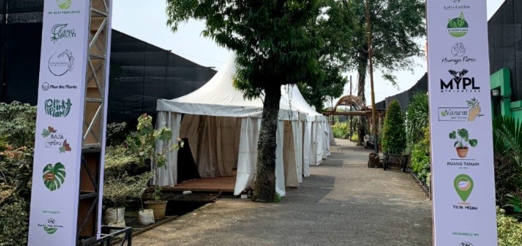 Tanaman Hias Bisa Jadi Terapi bagi Kesehatan hingga Digelar Kontesnya