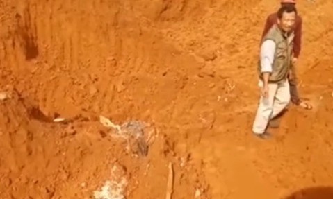 Viral Pembuangan Sembako di Sukmajaya Depok, Ini Penjelasan JNE