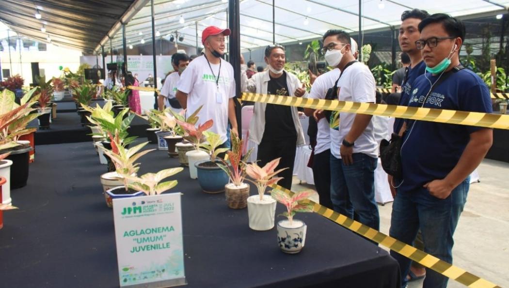 Intip Wisata Tanaman Hias Anggrek dan Syngonium di Jakarta Plant Market