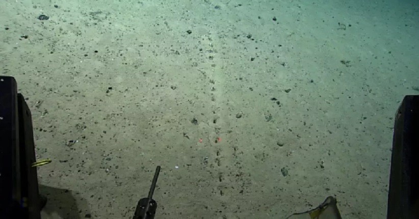 Lubang Misterius Ditemukan di Dasar Laut, Berjajar dengan Sempurna 