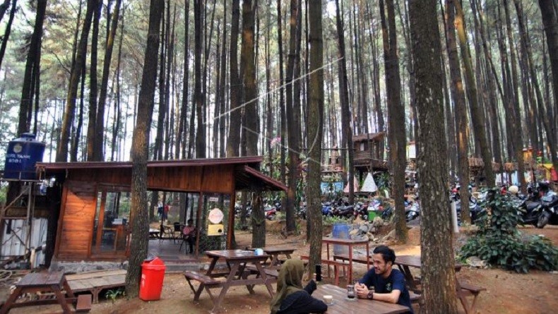 Wisata Alam Gunung Pancar Sentul, Pengunjung Dimanjakan Keindahan Hutan Pinus