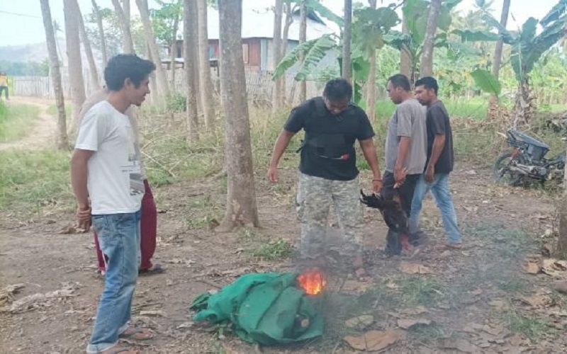 Judi Sabung Ayam, Sejumlah Pelaku Kabur saat Digerebek Polisi