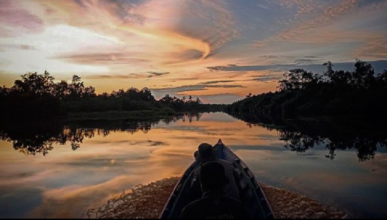 Taman Nasional di Kalimantan Tengah, Tempat Terbaik untuk Eksplorasi Alam