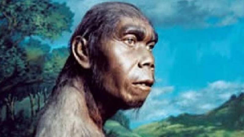 Sejarah Manusia Purba, Begini Aktivitasnya yang Kerap Berpindah-pindah