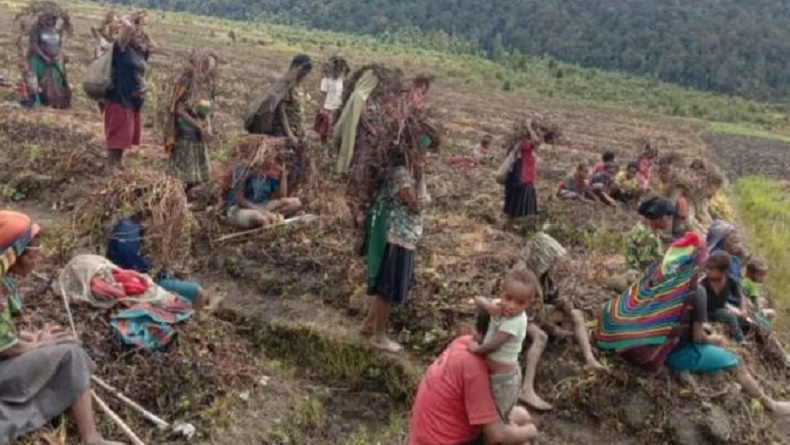 Fenomen Embun Beku di Lanny Jaya, Pemerintah Aktifkan Posko Darurat Bencana