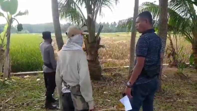 Petani Pangandaran 3 Kali Kehilangan Motor, Dicuri saat Mereka Sibuk Panen Padi di Sawah