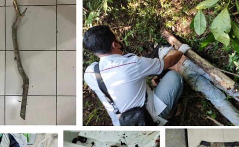 Kasus Pembunuhan Sadis di Magelang Terungkap, Pelaku Ternyata Seorang Pelajar