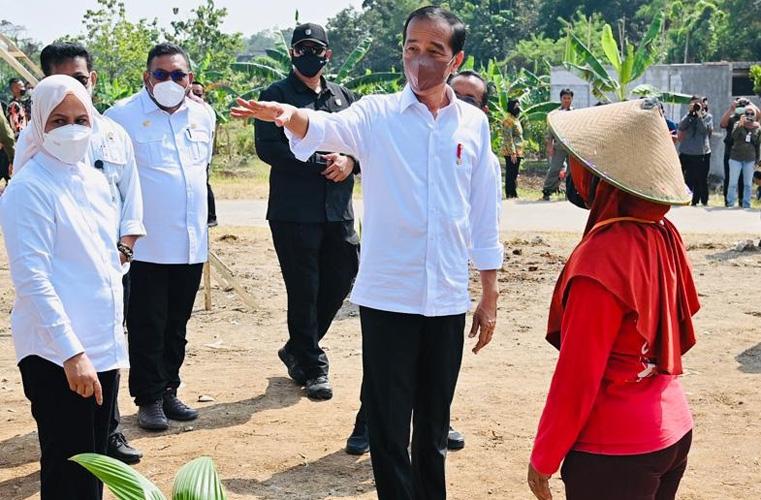 Jokowi Sebut 800 Juta Orang Akan Kelaparan jika Tak Ada Solusi Krisis Pangan