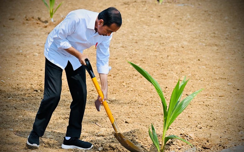Bicara Krisis Pangan, Jokowi: 800 Juta Orang Akan Kelaparan kalau Tak Ada Solusi