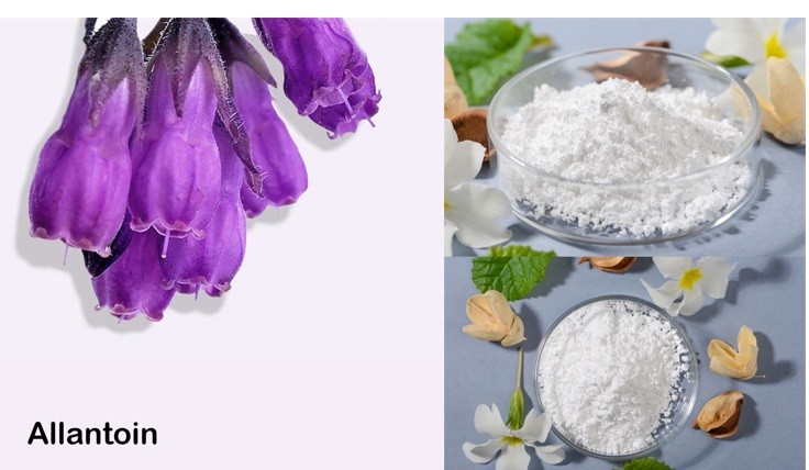 Mengenal Allantoin dan Manfaatnya untuk Kulit