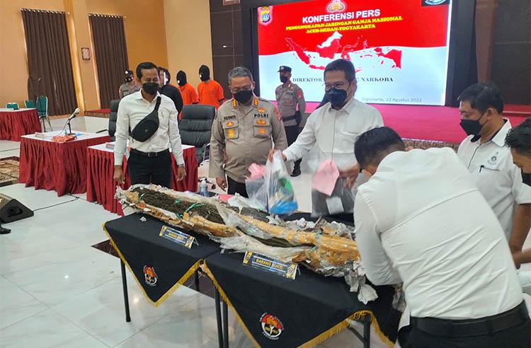 Bongkar Jaringan Pengedar Lintas Provinsi, Polda DIY Temukan 7 Hektare Ladang Ganja di Aceh