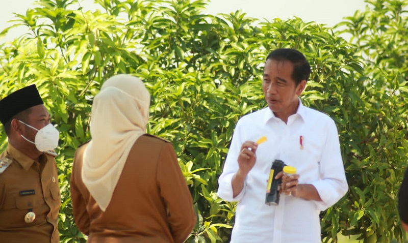 Presiden Jokowi Bagikan Ratusan Alat Mesin Pertanian untuk Petani Gresik
