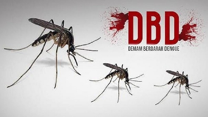  Program WoW Mantul Sukses Turunkan Kasus Demam Berdarah di Bantul