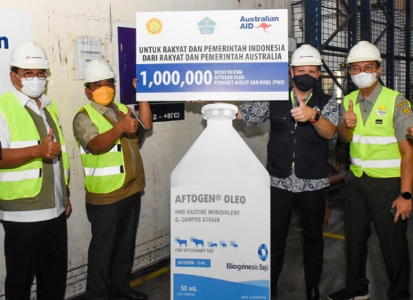 Australia Beri Indonesia 1 Juta Dosis Vaksin PMK, Ternyata Ini Tujuannya....