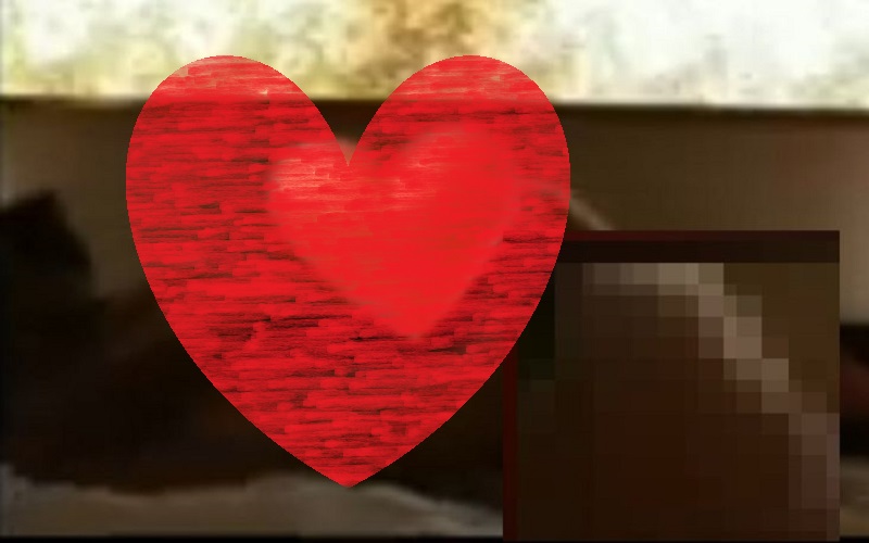 Viral Video Mesum Diduga Anggota DPRD Pasuruan di Ranjang Bareng Perempuan Cantik