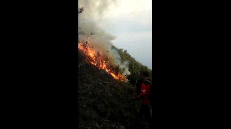 Puncak Gunung Penanggungan di Mojokerto Terbakar, 20 Ha Padang Savana Hangus 