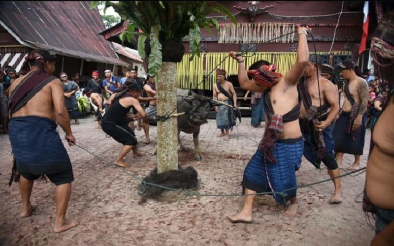 5 Marga Batak Tertinggi di Sumatera, Cek Biar Tak Salah Sebut
