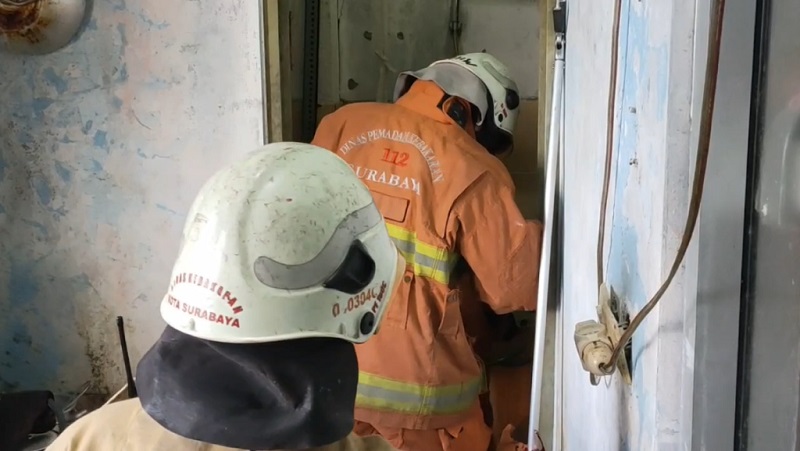 Ular Piton Gegerkan Penghuni Rusunawa Gunungsari Surabaya 