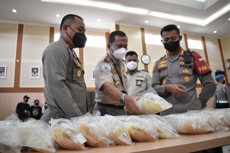 KKP Gagalkan Penyelundupan Benih Lobster Motif Baru Senilai Rp3,9 Miliar