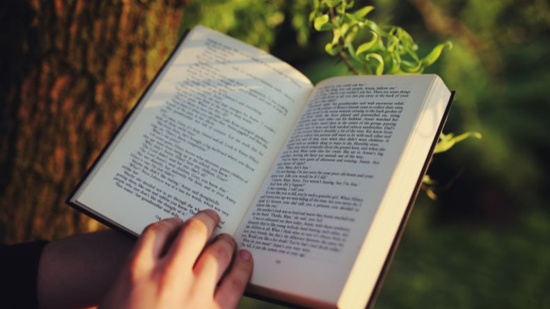 Contoh Resensi Novel Beserta Cara Menulis dan Strukturnya, Lengkap!