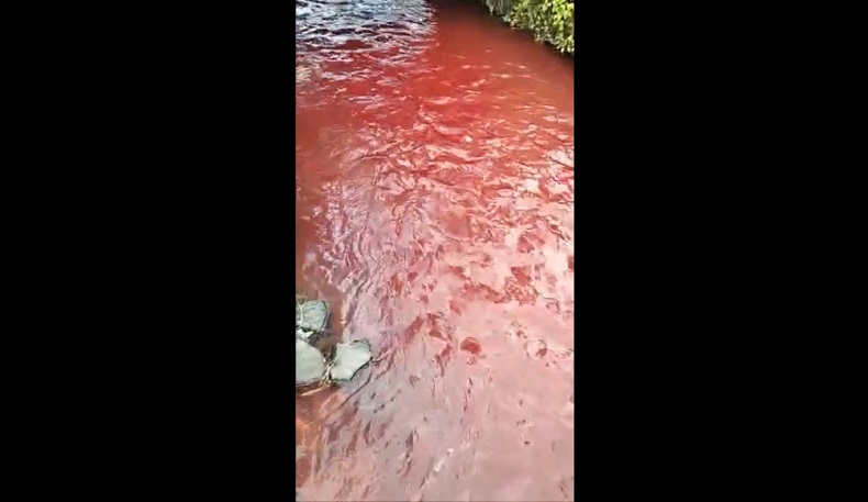 Heboh, Air Sungai Mayang di Jember Berubah Menjadi Merah 