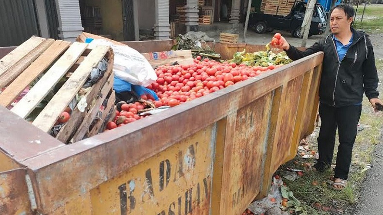 Harga Anjlok, Pedagang Penampung Buang Ratusan Kilogram Tomat ke Bak Sampah