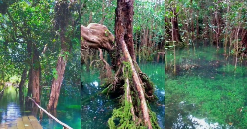Ternyata seperti Ini Pemandangan Cantik Negeri Dongeng yang Ada di Biak Papua!