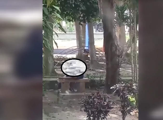 2 Pasangan Kekasih Mesum di Taman Firdaus Pinrang, Kasatpol PP: Kami Kecolongan