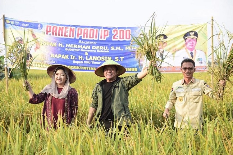 Dorong Kemandirian Pangan, Herman Deru Sosialisasikan GSMP hingga ke Desa-desa