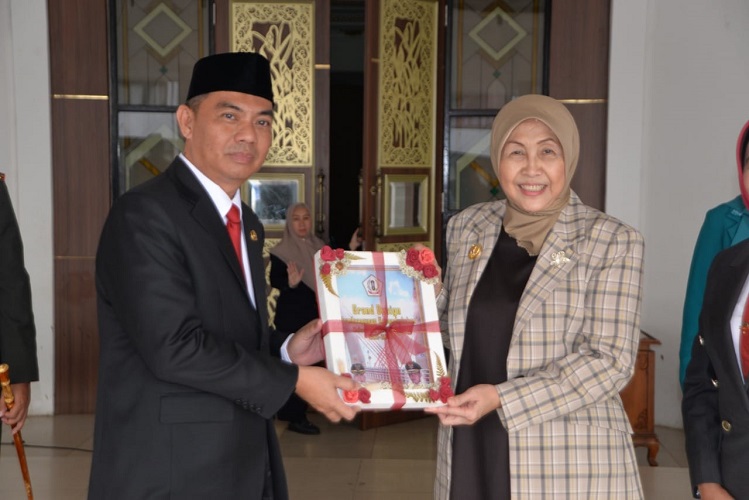 Bupati Barito Kuala Serahkan Grand Design Pembangunan Kependudukan