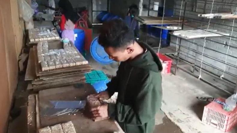 Dampak Kenaikan Harga Kedelai, Perajin di Boyolali Kurangi Ukuran Tempe