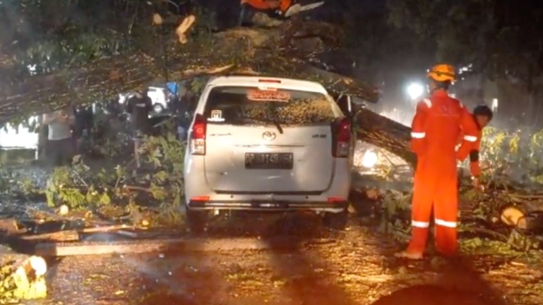 Satu Keluarga di Palopo Tertimpa Pohon Tumbang, Ada Ibu-Ibu Hamil 7 Bulan