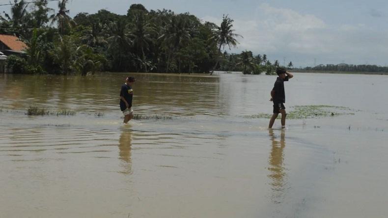 BPBD Jateng Petakan Daerah Rawan Bencana Alam, Ini Daftarnya