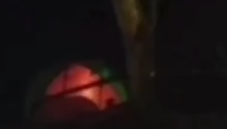 Viral Tenda Goyang Diduga di Curug Pangeran Bogor, Pengelola Taman Nasional Turun Tangan