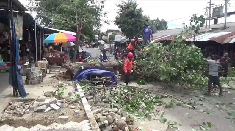 Terempas Angin, Pohon Besar Timpa Lapak Pedagang di Ponorogo