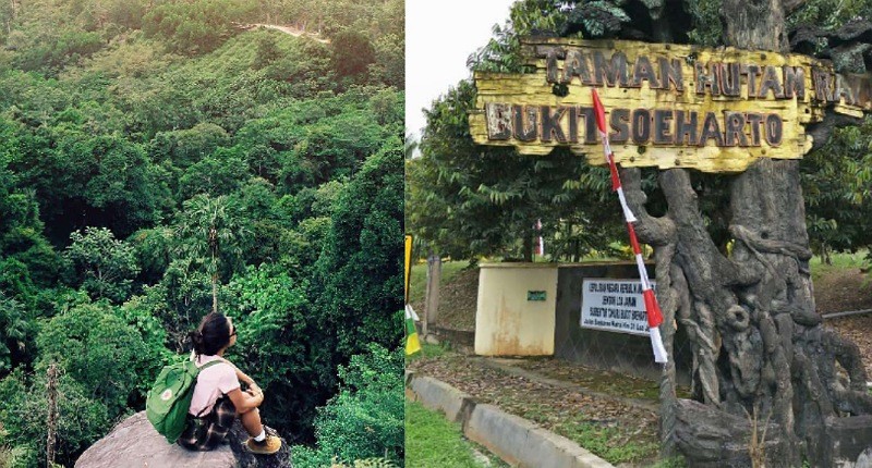 Mengenal Hutan Raya Bukit Soeharto di Kaltim, Ada Keunikan Flora dan Fauna yang Langka 